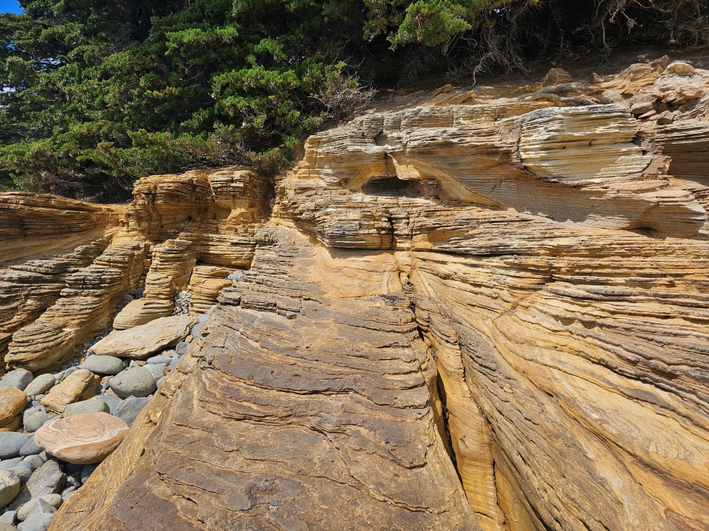 202511浪跡天涯@Tasmania-瑪麗亞島國家公園 Maria Island