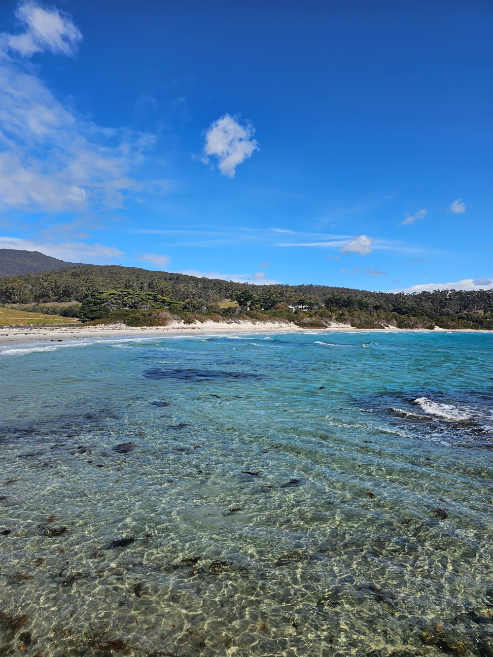 202511浪跡天涯@Tasmania-瑪麗亞島國家公園 Maria Island