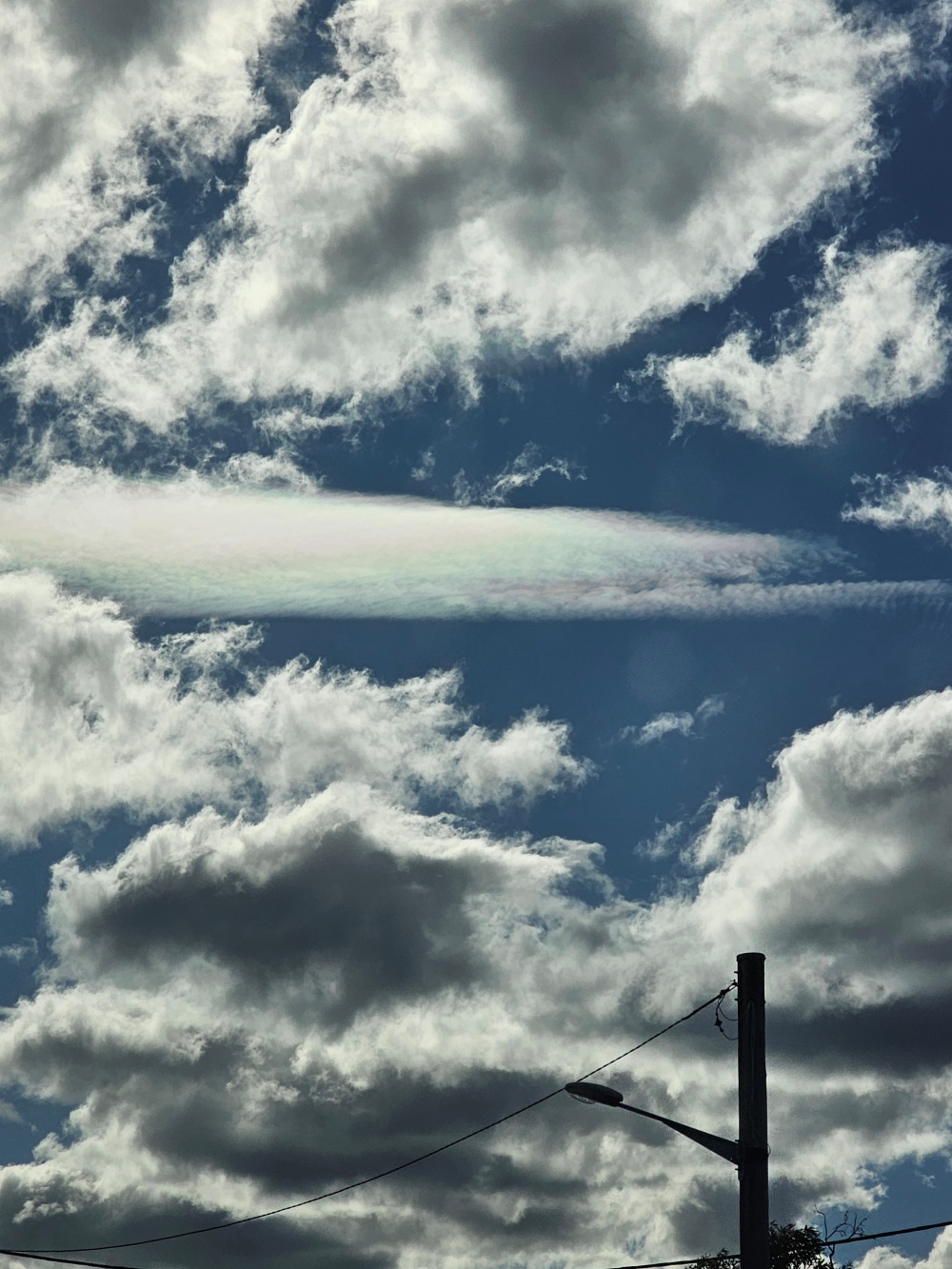 202511浪跡天涯@Tasmania-瑪麗亞島國家公園 Maria Island