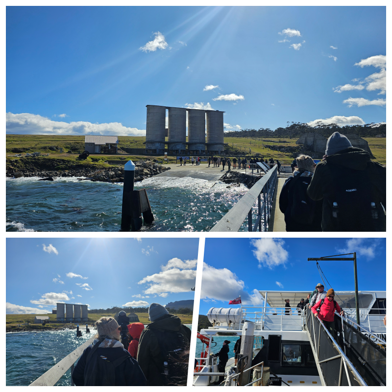 202511浪跡天涯@Tasmania-瑪麗亞島國家公園 Maria Island