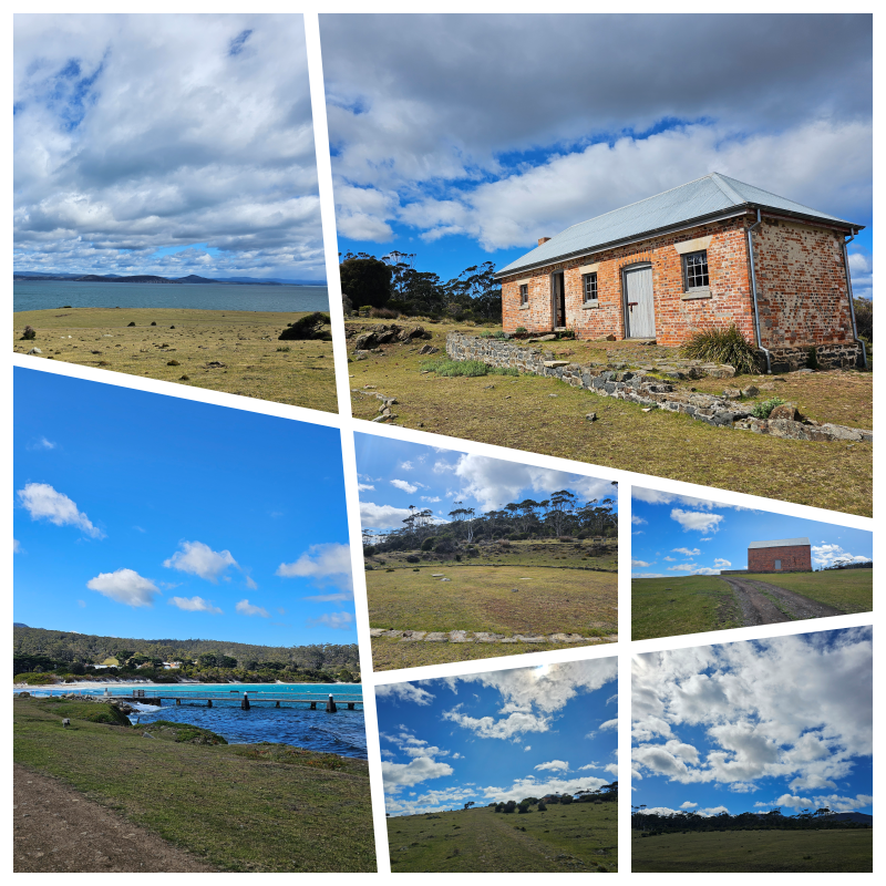 202511浪跡天涯@Tasmania-瑪麗亞島國家公園 Maria Island