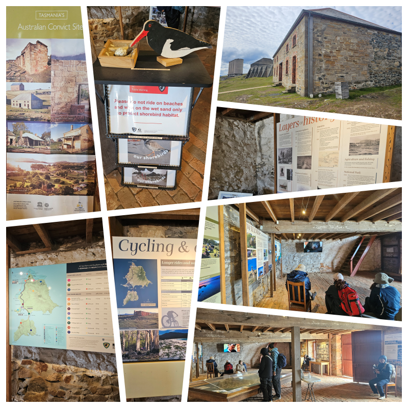 202511浪跡天涯@Tasmania-瑪麗亞島國家公園 Maria Island