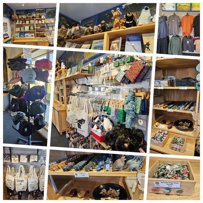 202511浪跡天涯@Tasmania-瑪麗亞島國家公園 Maria Island