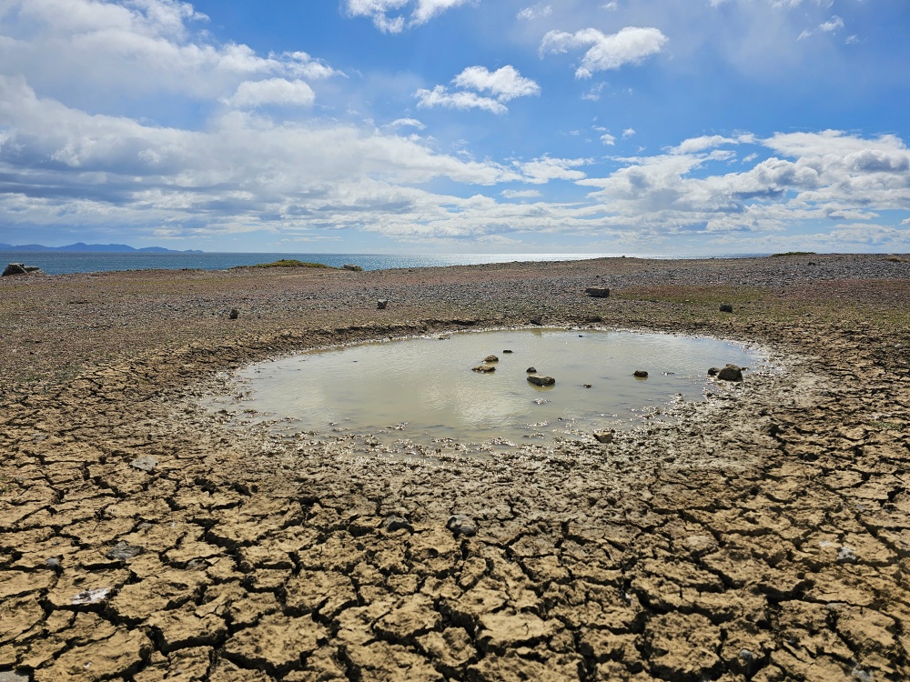 202511浪跡天涯@Tasmania-瑪麗亞島國家公園 Maria Island