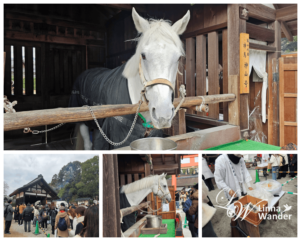 新年京都散策-賀茂御祖神社(下鴨神社)、上賀茂神社、平安神宮