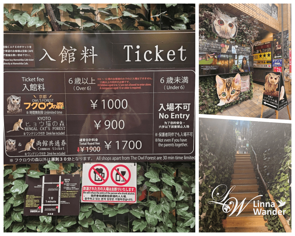 萌萌貓頭鷹體驗-京都貓頭鷹之森(京都のフクロウの森) - 第1張圖 萌萌貓頭鷹體驗-京都貓頭鷹之森(京都のフクロウの森)