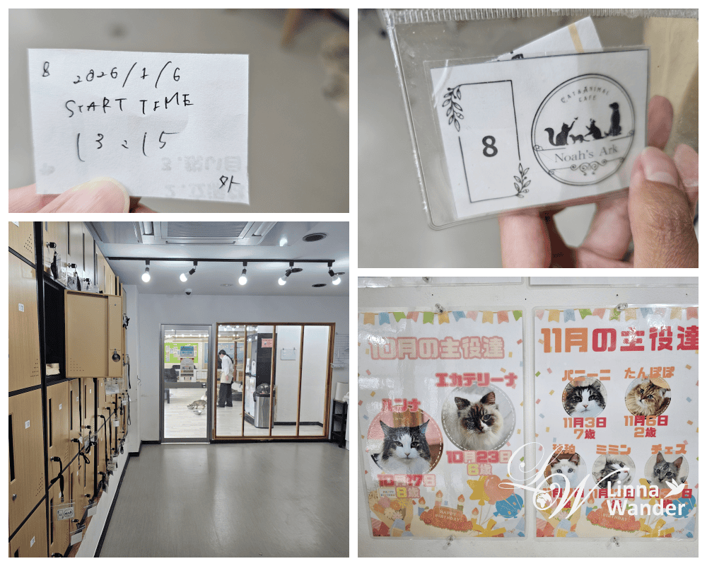 來被貓包圍吧!貓與動物咖啡館諾亞方舟(Cat&Animal Cafe Noah’s Ark 祇園店) - 第2張圖 來被貓包圍吧!貓與動物咖啡館諾亞方舟(Cat&Animal Cafe Noah’s Ark 祇園店)