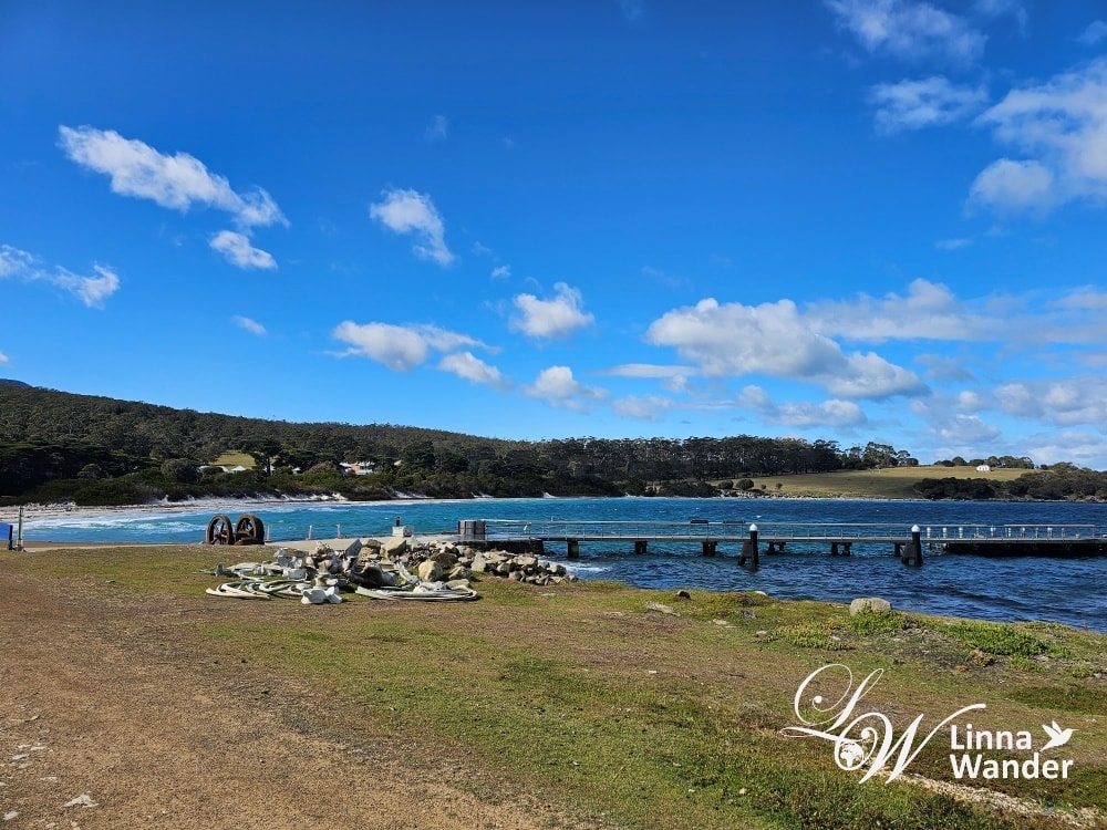 Tasmania-來去瑪麗亞島Maria Island找袋熊！