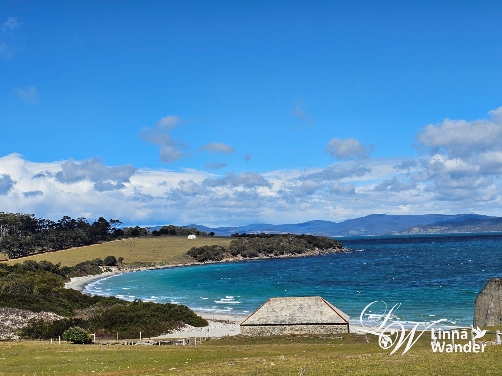 Tasmania-來去瑪麗亞島Maria Island找袋熊！
