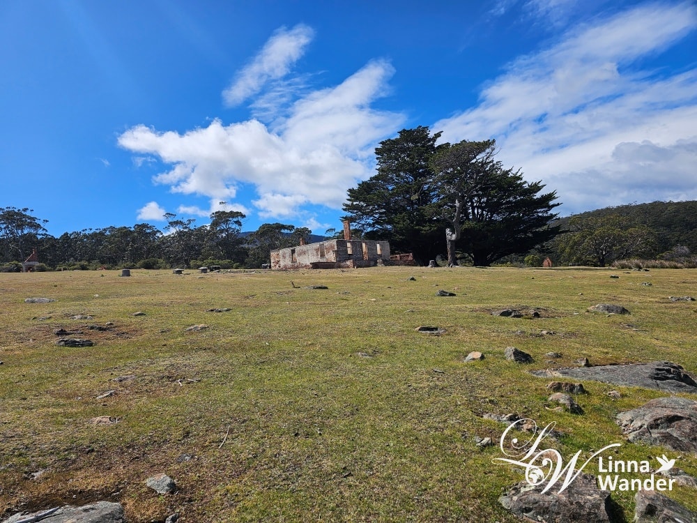 Tasmania-來去瑪麗亞島Maria Island找袋熊！