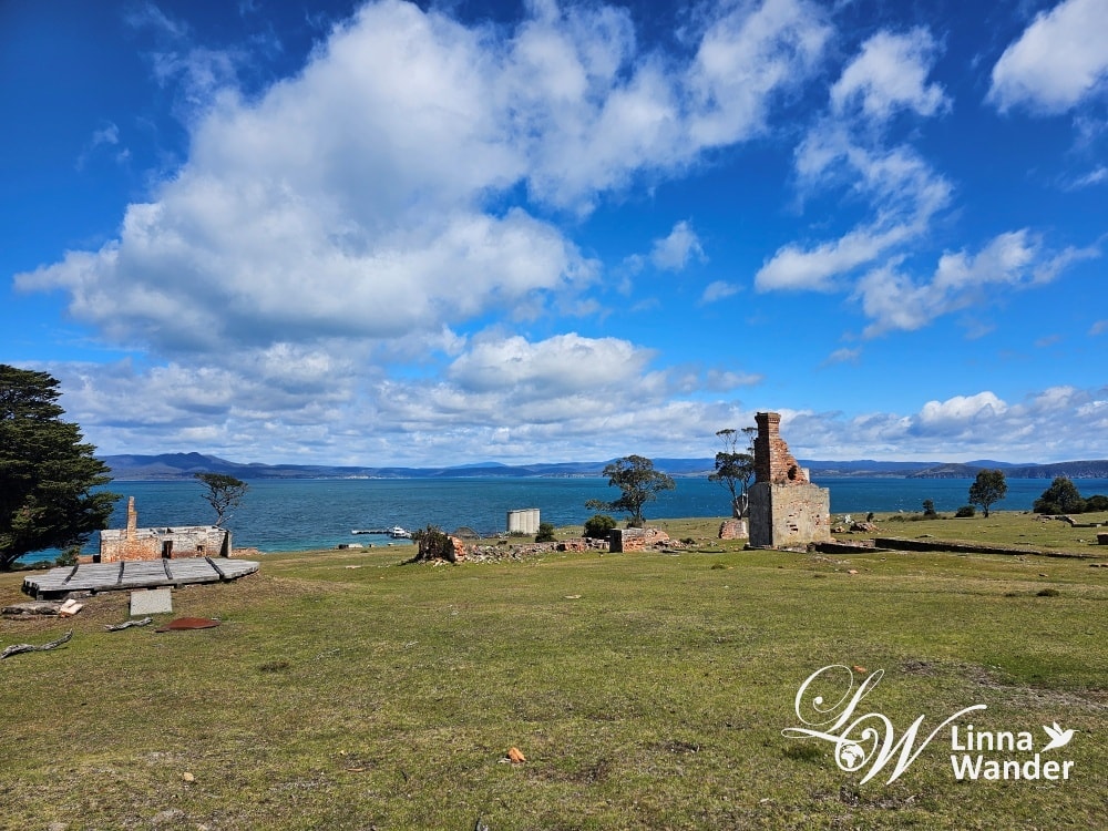Tasmania-來去瑪麗亞島Maria Island找袋熊！
