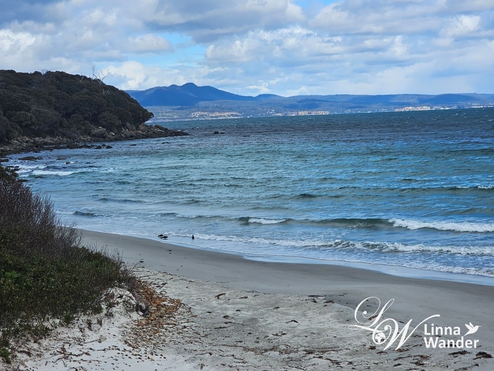 Tasmania-來去瑪麗亞島Maria Island找袋熊！