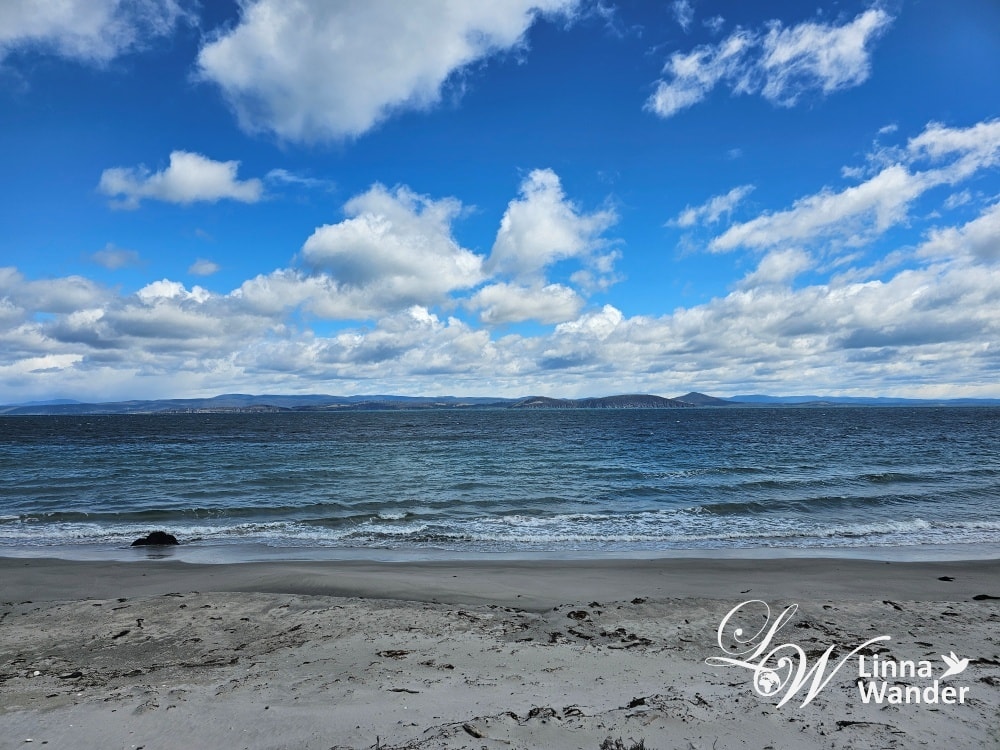 Tasmania-來去瑪麗亞島Maria Island找袋熊！