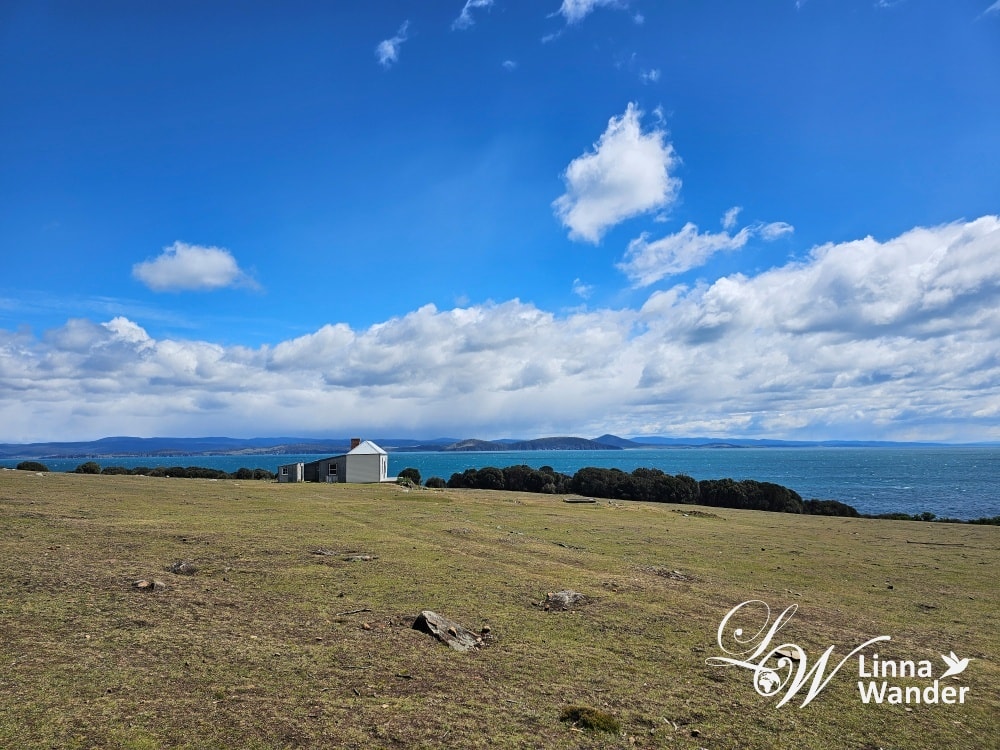 Tasmania-來去瑪麗亞島Maria Island找袋熊！