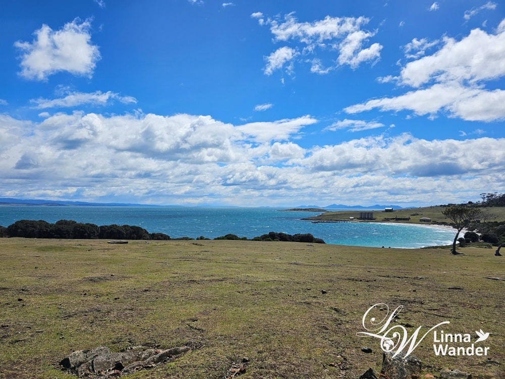 Tasmania-來去瑪麗亞島Maria Island找袋熊！