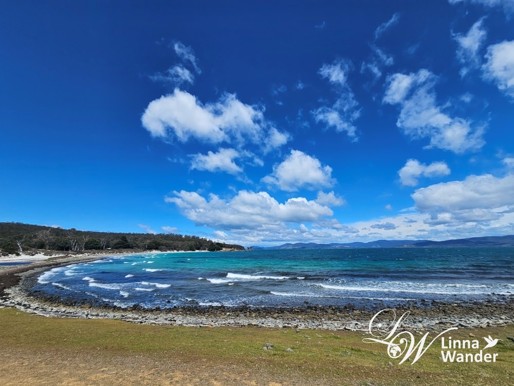 Tasmania-來去瑪麗亞島Maria Island找袋熊！