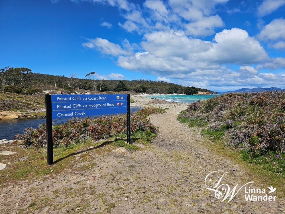 Tasmania-來去瑪麗亞島Maria Island找袋熊！
