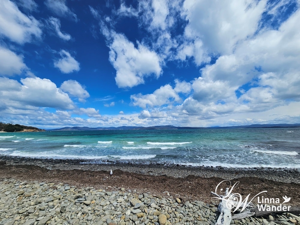 Tasmania-來去瑪麗亞島Maria Island找袋熊！