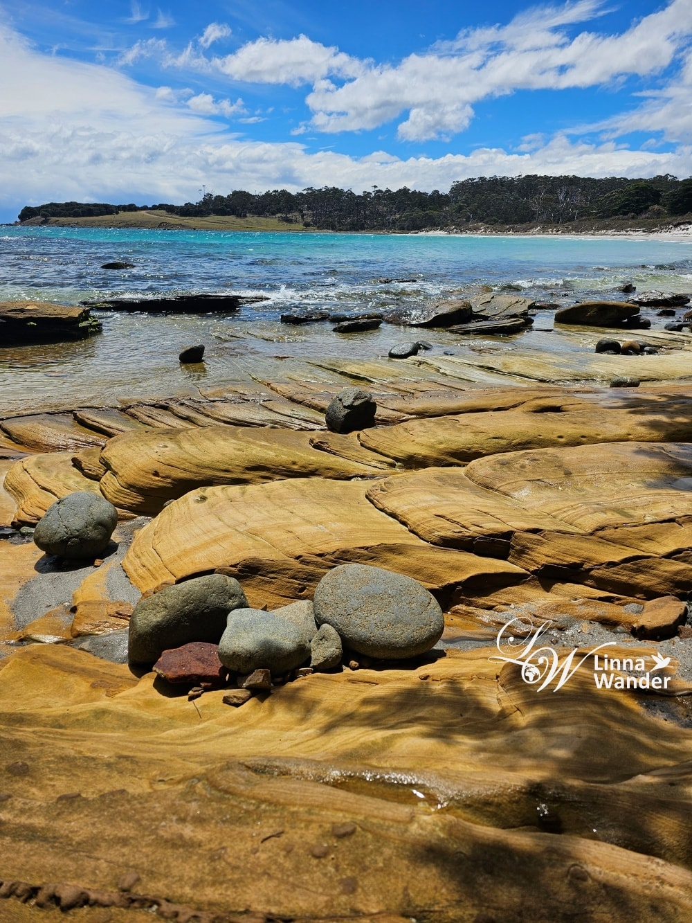 Tasmania-來去瑪麗亞島Maria Island找袋熊！
