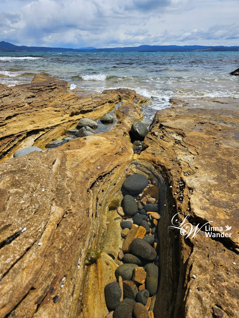 Tasmania-來去瑪麗亞島Maria Island找袋熊！