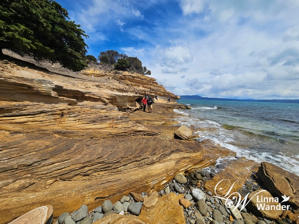 Tasmania-來去瑪麗亞島Maria Island找袋熊！