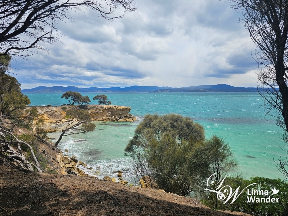 Tasmania-來去瑪麗亞島Maria Island找袋熊！
