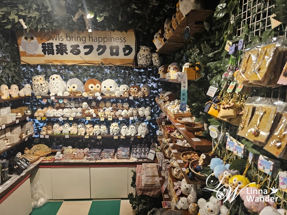 萌萌貓頭鷹體驗-京都貓頭鷹之森(京都のフクロウの森) - 第16張圖 萌萌貓頭鷹體驗-京都貓頭鷹之森(京都のフクロウの森)