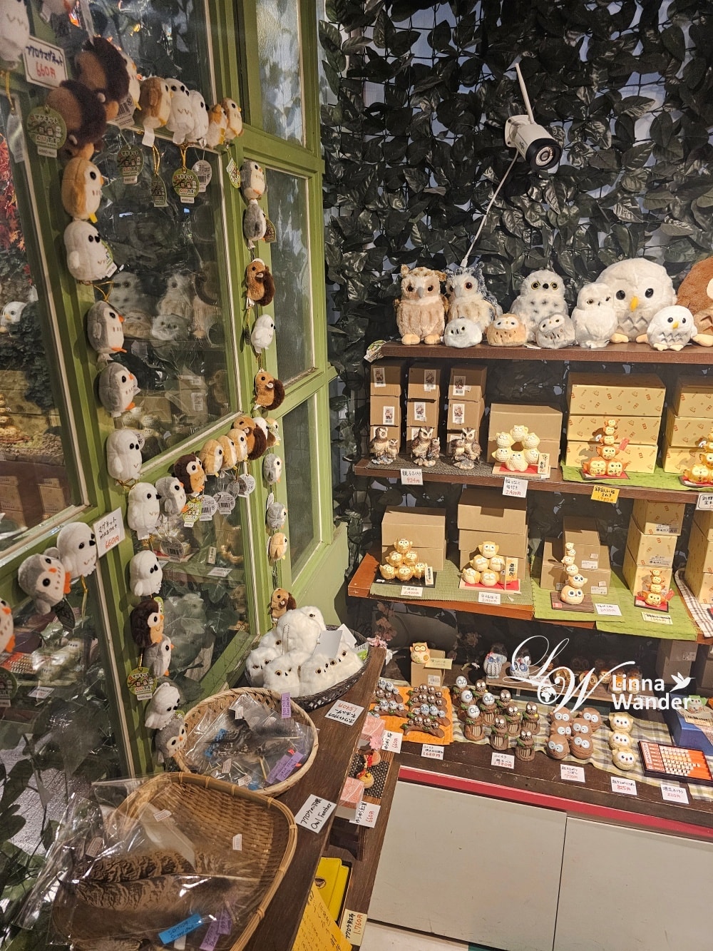 萌萌貓頭鷹體驗-京都貓頭鷹之森(京都のフクロウの森) - 第17張圖 萌萌貓頭鷹體驗-京都貓頭鷹之森(京都のフクロウの森)