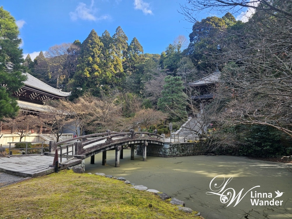 京都新年參拜：八坂神社、知恩院