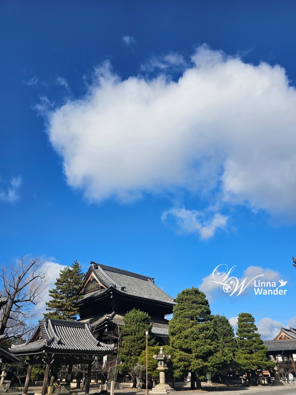 京都新年參拜：八坂神社、知恩院