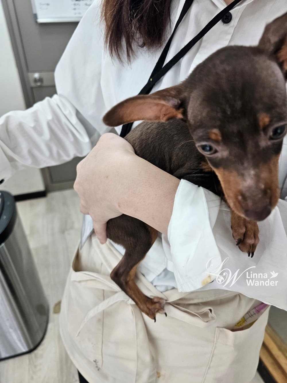 來被貓包圍吧!貓與動物咖啡館諾亞方舟(Cat&Animal Cafe Noah’s Ark 祇園店) - 第4張圖 來被貓包圍吧!貓與動物咖啡館諾亞方舟(Cat&Animal Cafe Noah’s Ark 祇園店)