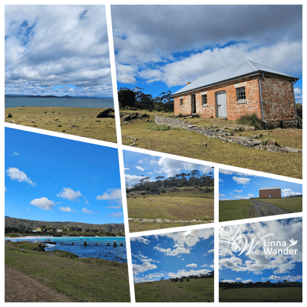 Tasmania-來去瑪麗亞島Maria Island找袋熊！