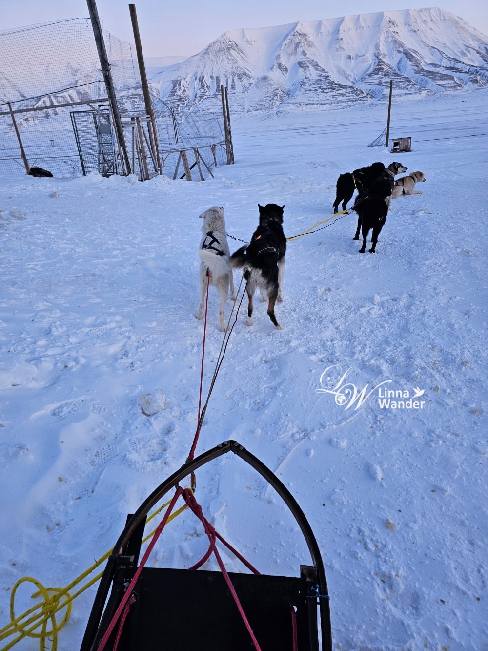 我的極地探險-跟雪橇犬一起穿越極地! - 第17張圖 我的極地探險-跟雪橇犬一起穿越極地!