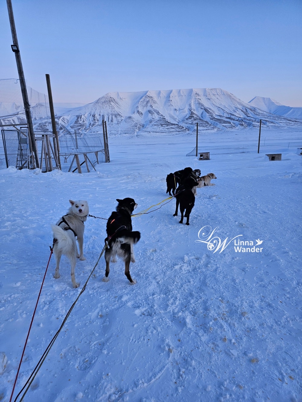 我的極地探險-跟雪橇犬一起穿越極地! - 第19張圖 我的極地探險-跟雪橇犬一起穿越極地!