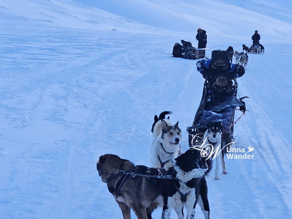 我的極地探險-跟雪橇犬一起穿越極地! - 第35張圖 我的極地探險-跟雪橇犬一起穿越極地!