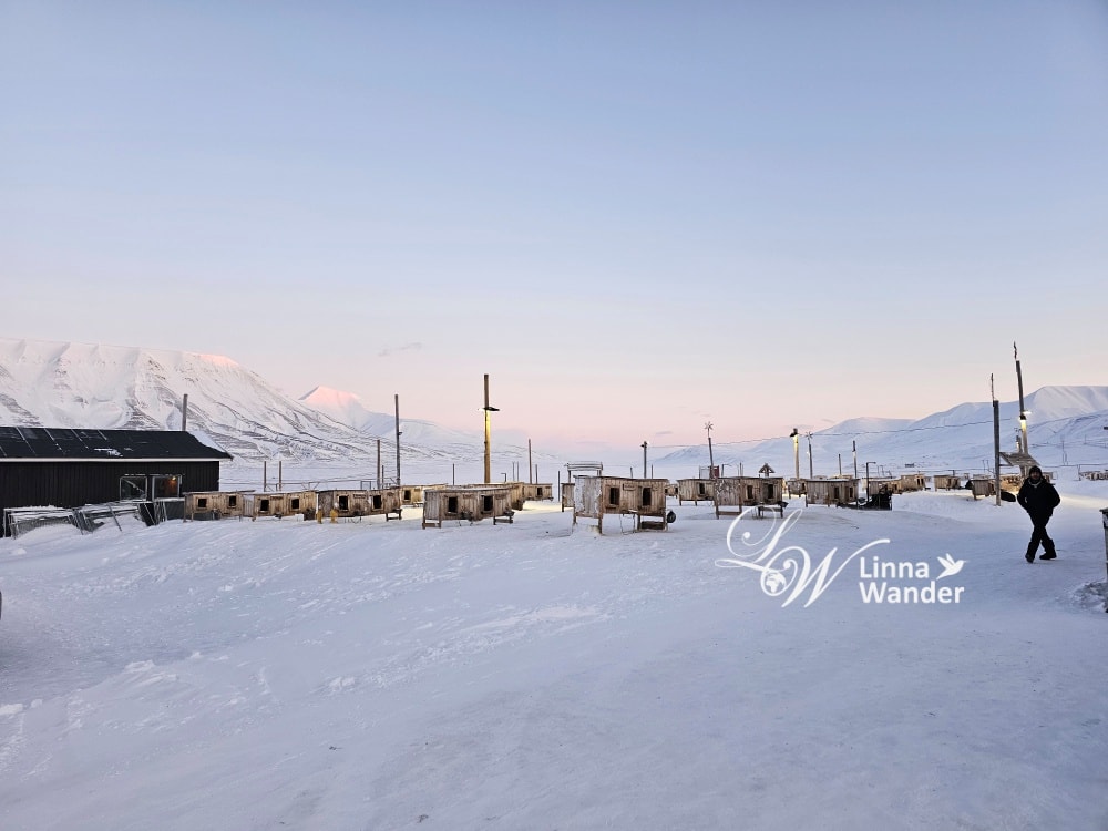 我的極地探險-跟雪橇犬一起穿越極地! - 第40張圖 我的極地探險-跟雪橇犬一起穿越極地!