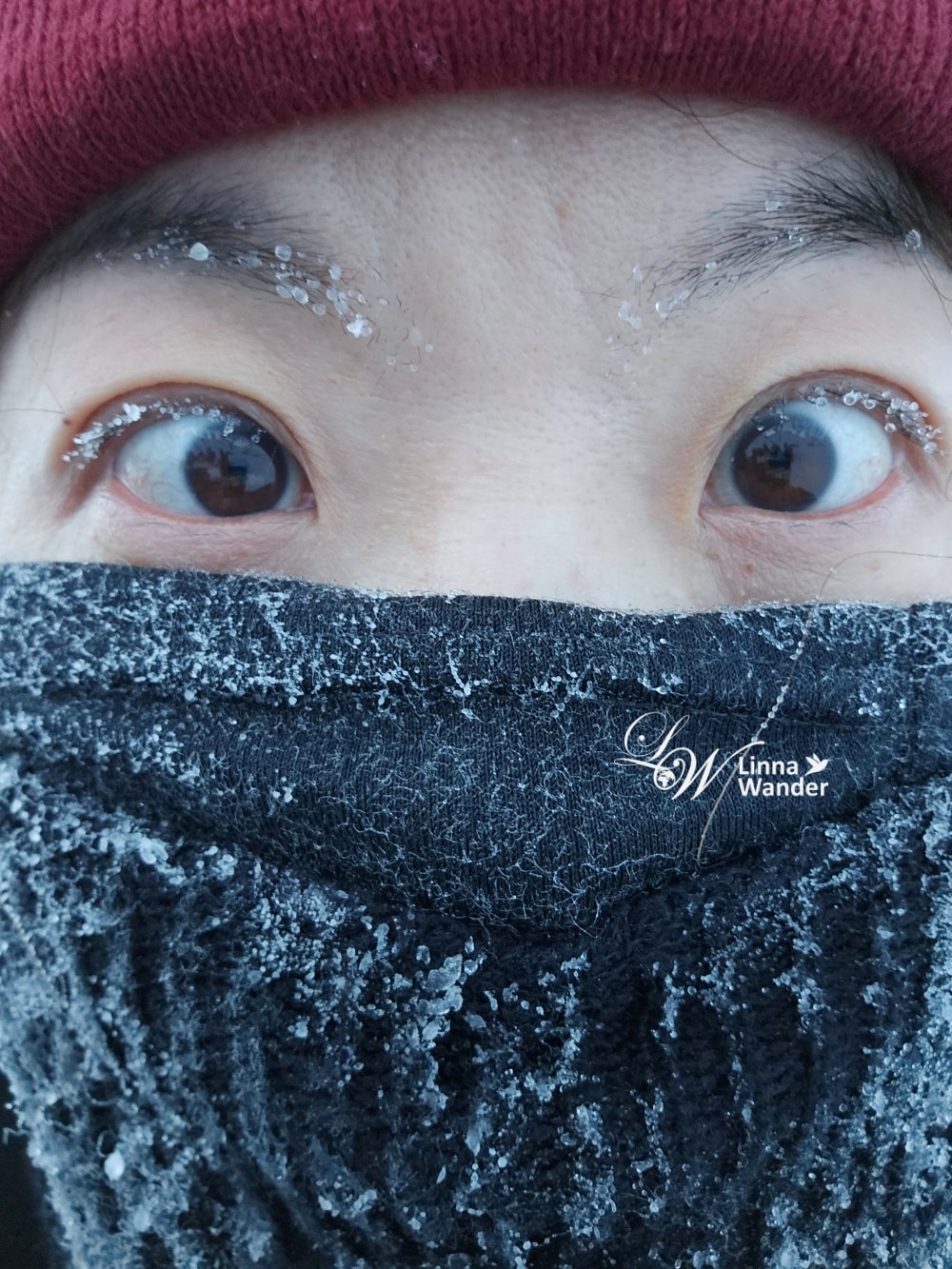 我的極地探險-騎雪地摩托車北極冰洞探索! - 第23張圖 我的極地探險-騎雪地摩托車北極冰洞探索!