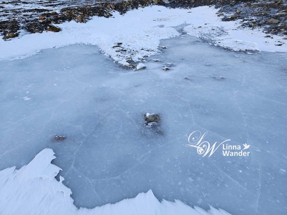 我的極地探險-徒步探險，雪狐在哪？