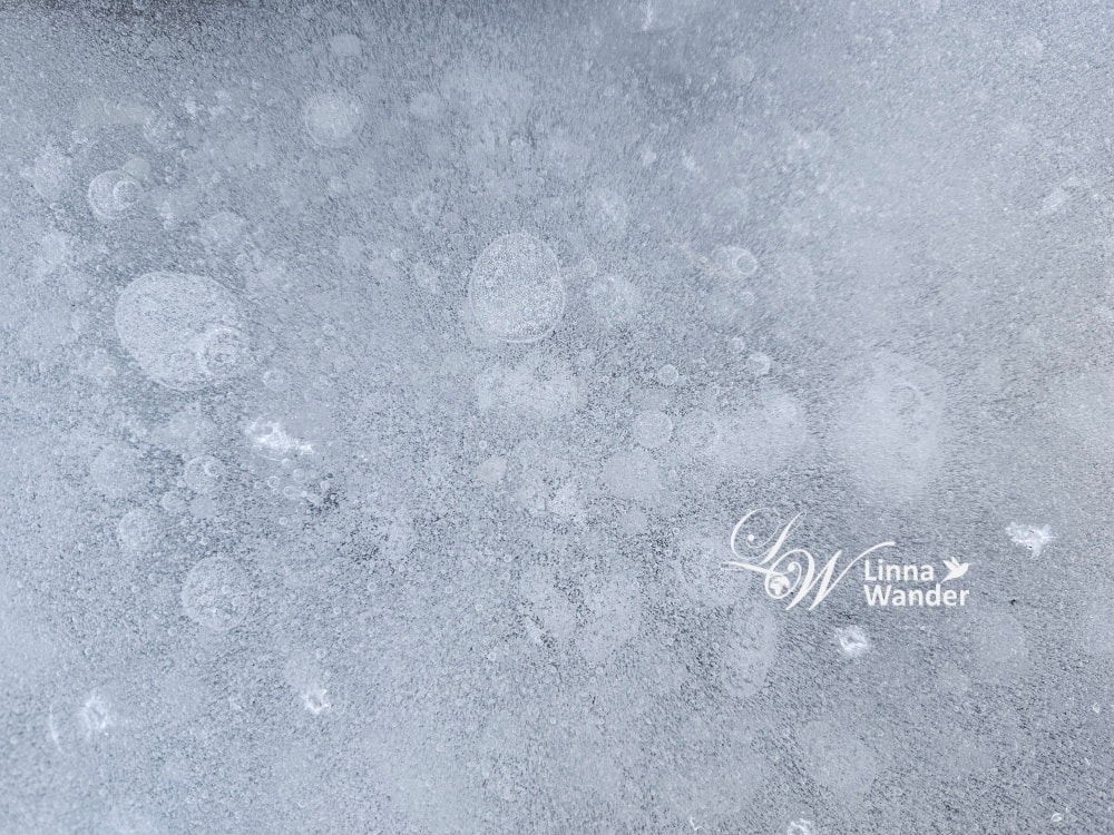 我的極地探險-徒步探險，雪狐在哪？