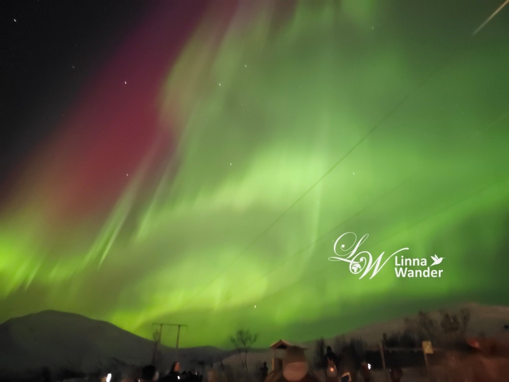 Tromso-市區纜車Fjellheisen、北極大教堂Arctic Cathedral - 第26張圖 Tromso-市區纜車Fjellheisen、北極大教堂Arctic Cathedral