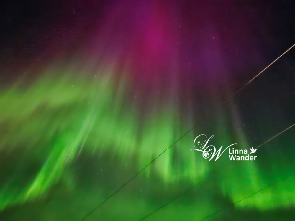 Tromso-市區纜車Fjellheisen、北極大教堂Arctic Cathedral - 第27張圖 Tromso-市區纜車Fjellheisen、北極大教堂Arctic Cathedral