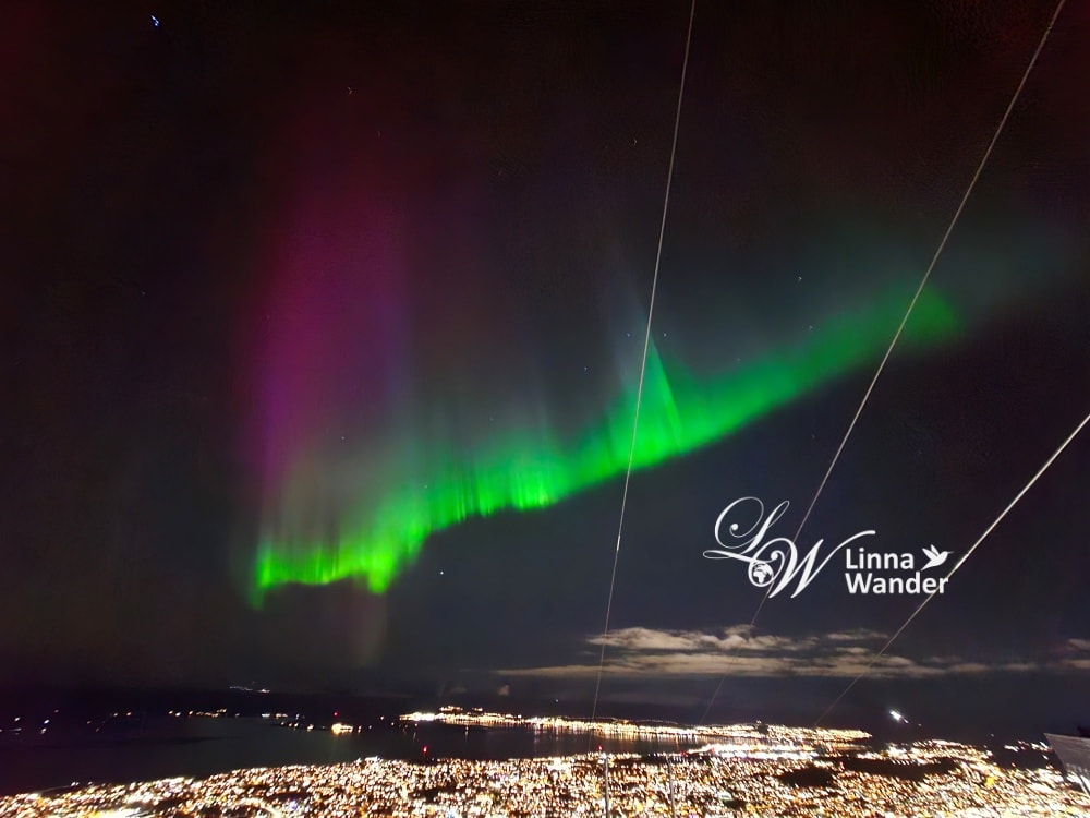 Tromso-市區纜車Fjellheisen、北極大教堂Arctic Cathedral - 第28張圖 Tromso-市區纜車Fjellheisen、北極大教堂Arctic Cathedral