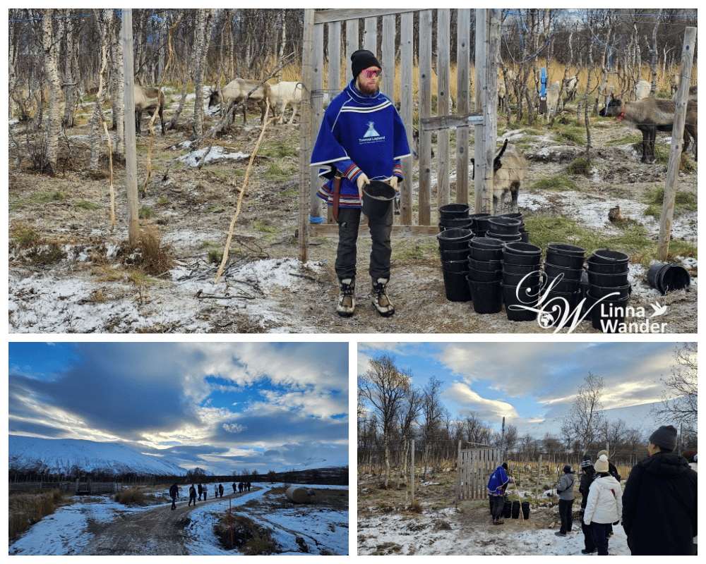 Tromso薩米文化體驗Sámi Experience