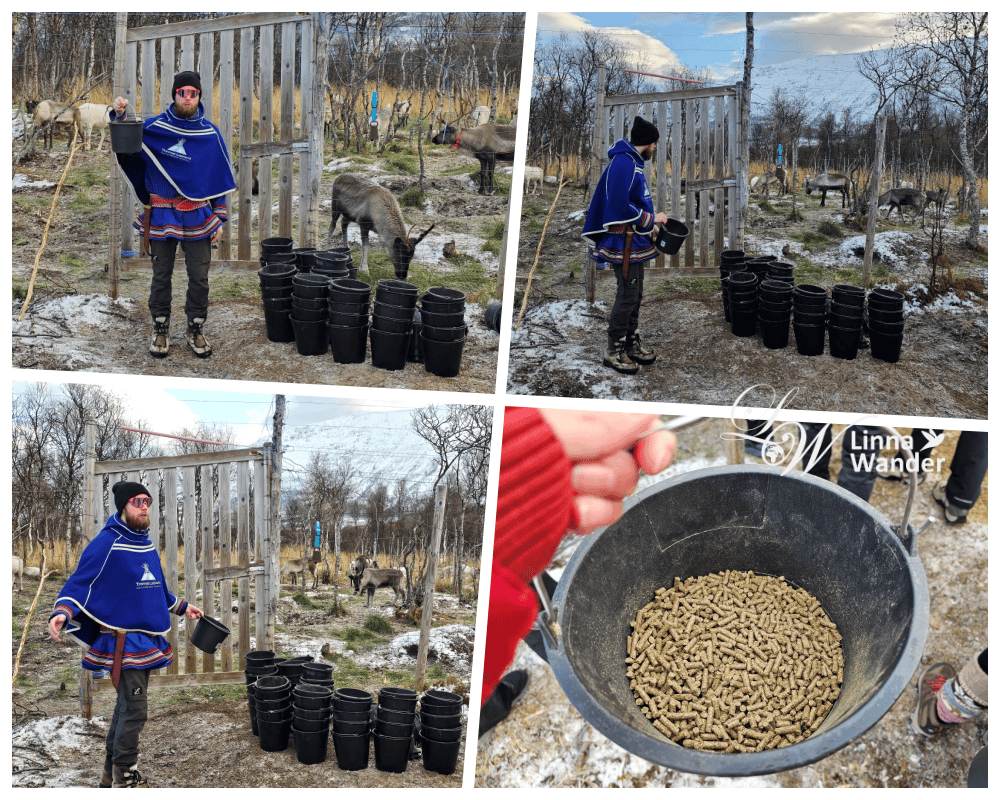 Tromso薩米文化體驗Sámi Experience